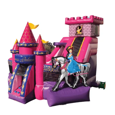 Princess Combo rental in Athens, GA
